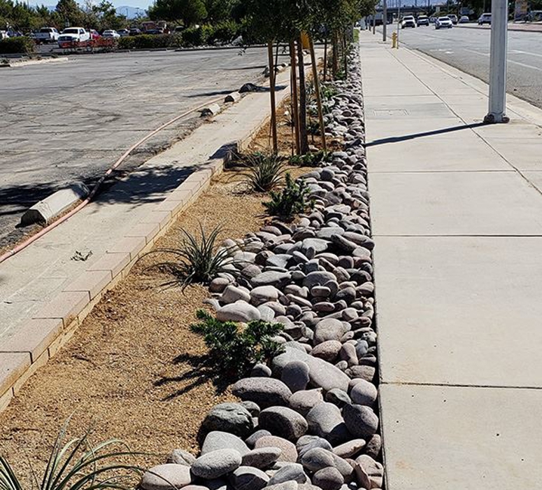 desert sidewalk landscaping