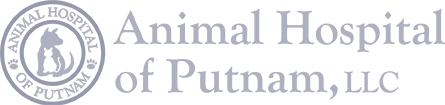 Animal Hospital of Putnam