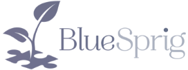 BlueSprig Pediatrics