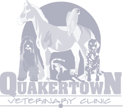 Quakertown Veterinary Clinic