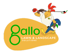 Gallo Lawn and Landscape Solutions